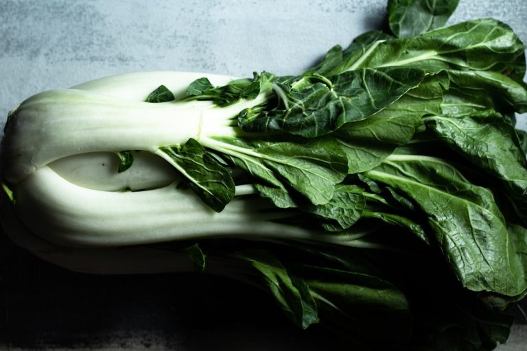Photo Green leafy vegetables